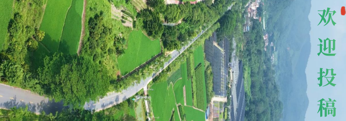 乡村风景道投稿宣传